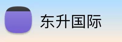 东升国际 logo